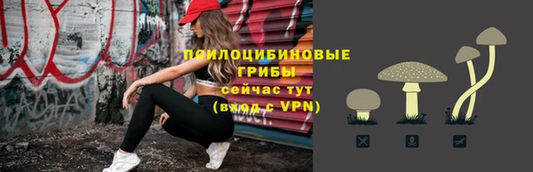 прущая мука Армянск