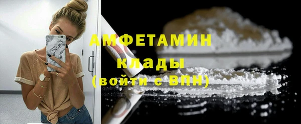 сатива Аркадак