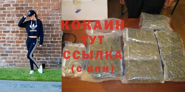 сатива Аркадак