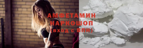 сатива Аркадак