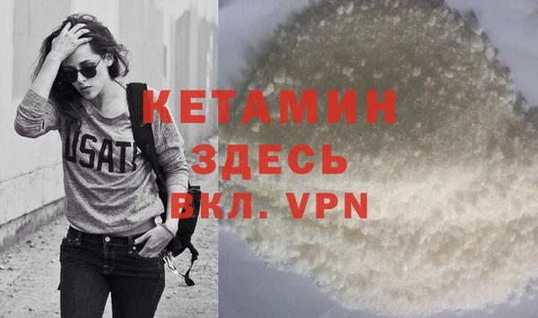 сатива Аркадак